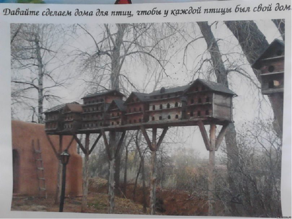 Презентация к занятию "Встречаем птиц"