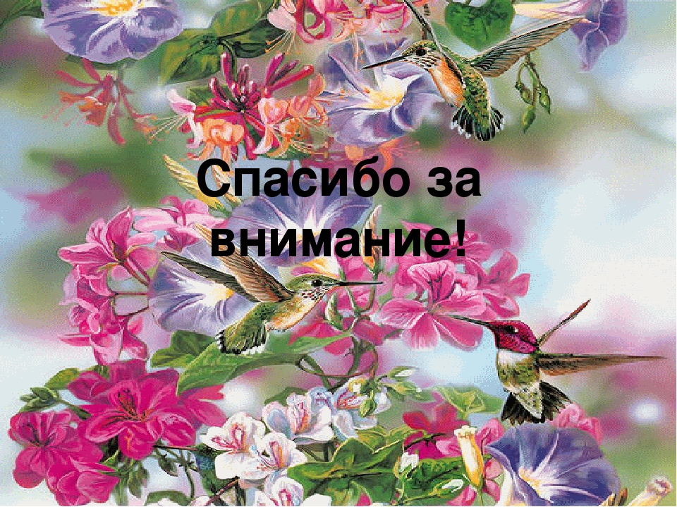 Презентация "Подготовка детей к школе"