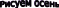 Shape8