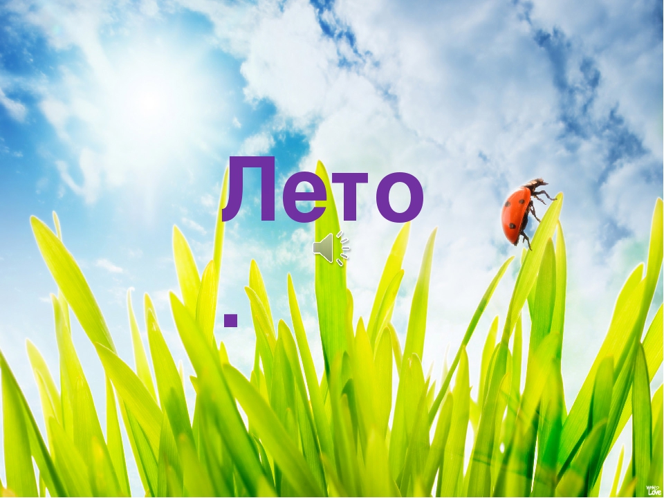 Презентация на тему: " Лето"