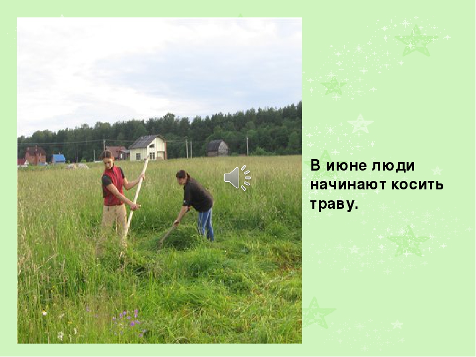 Презентация на тему: " Лето"