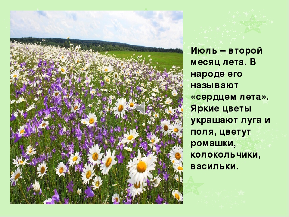 Презентация на тему: " Лето"