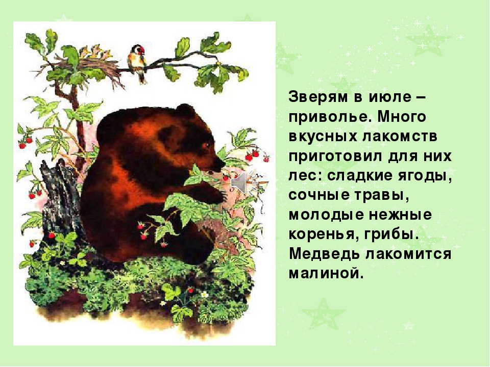 Презентация на тему: " Лето"