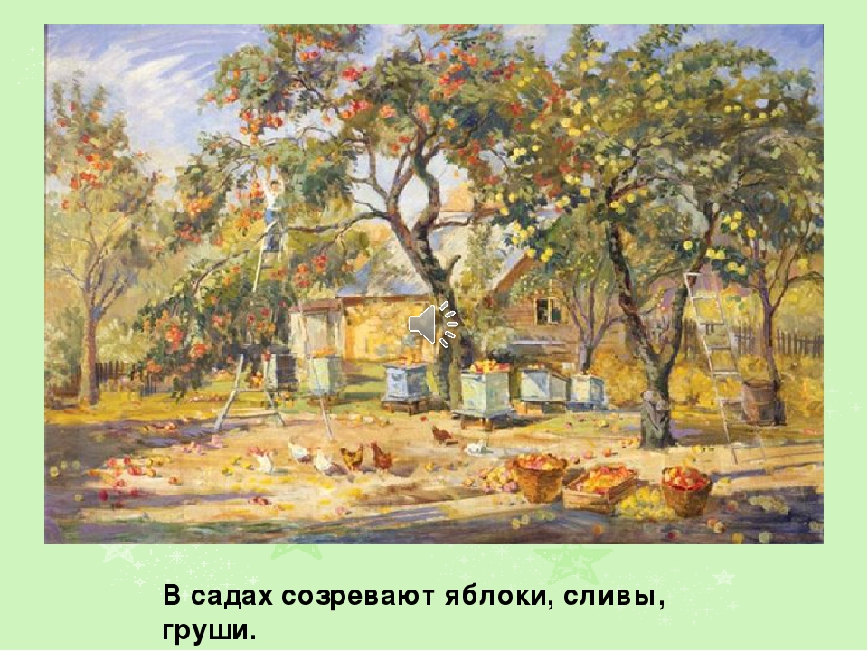Презентация на тему: " Лето"