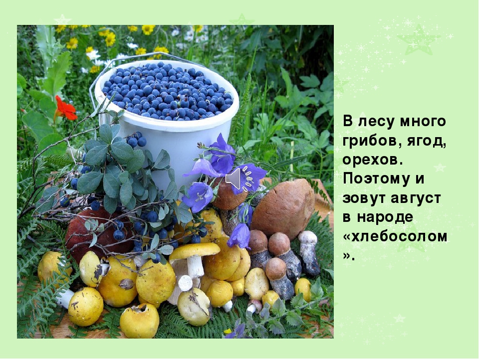Презентация на тему: " Лето"
