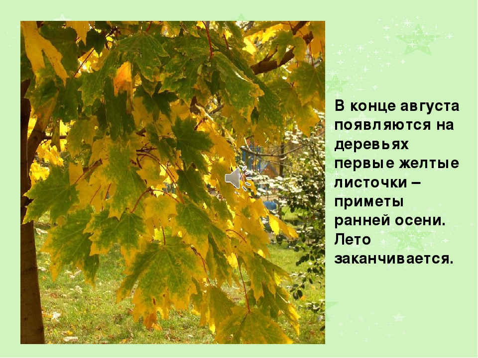 Презентация на тему: " Лето"