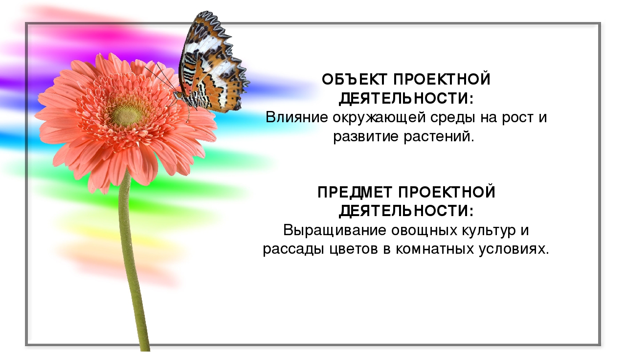 Презентация проекта "Огород на окошке"