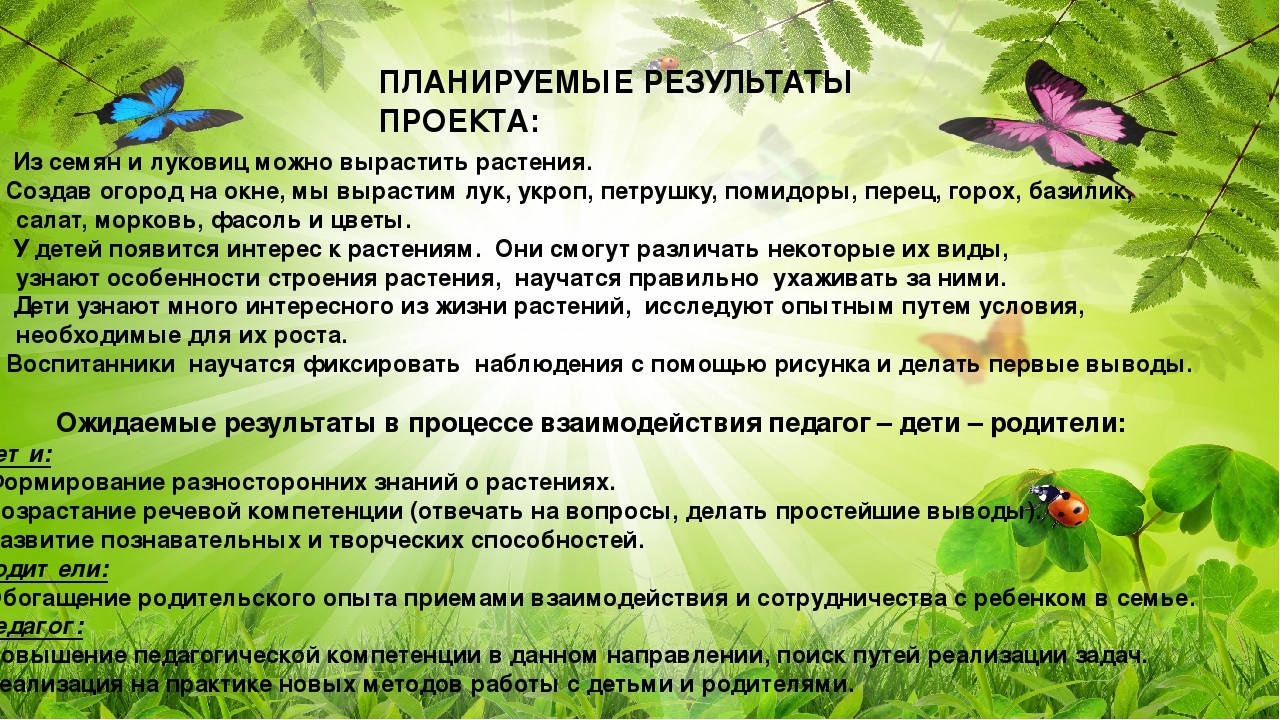 Презентация проекта "Огород на окошке"