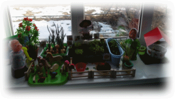 SAM_0675.JPG