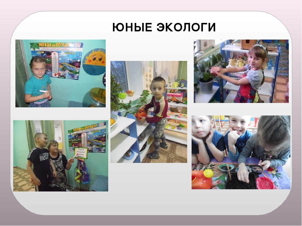 Презентация "Мое электронное портфолио"