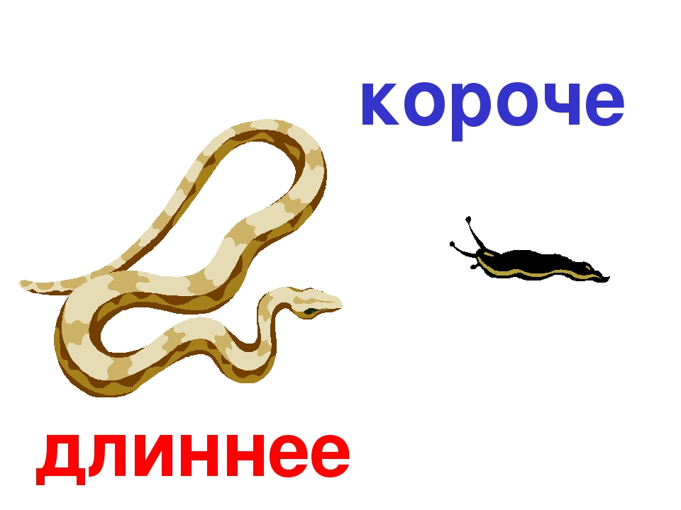 Презентация на тему "Сравнение"