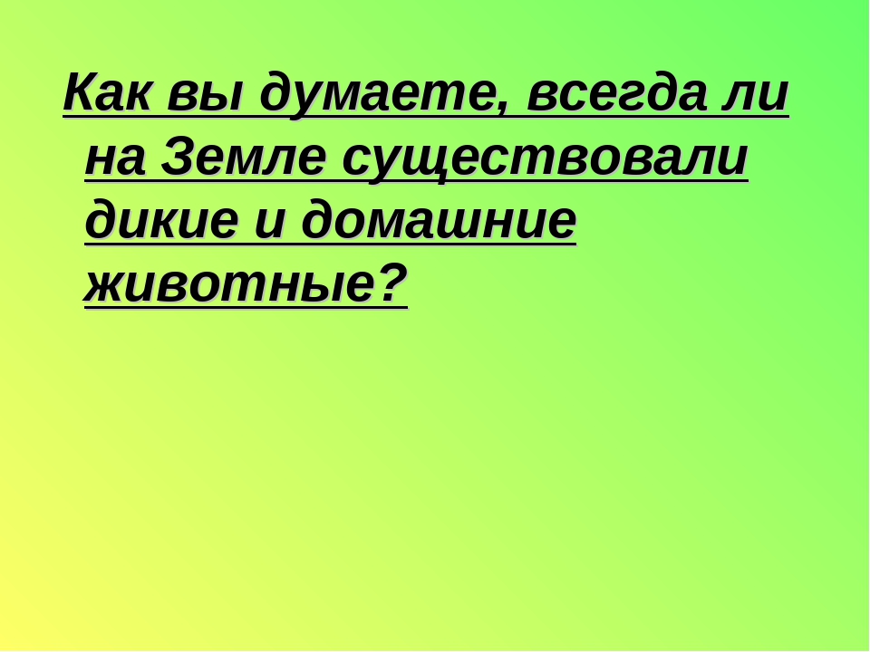 Презентация. "Домашние и дикие животные" средняя группа