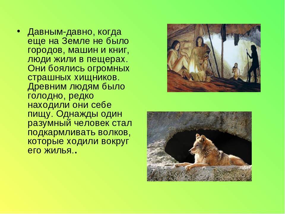 Презентация. "Домашние и дикие животные" средняя группа