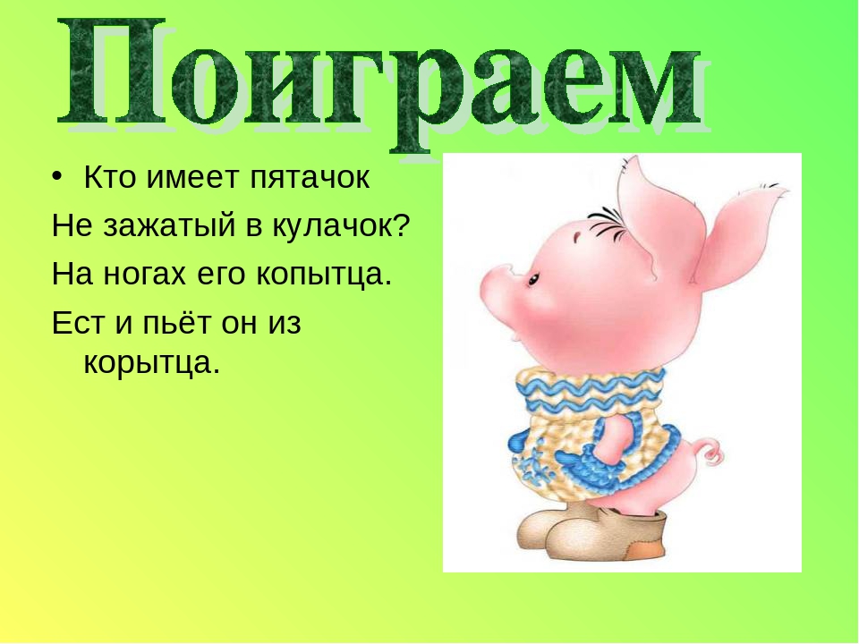 Презентация. "Домашние и дикие животные" средняя группа