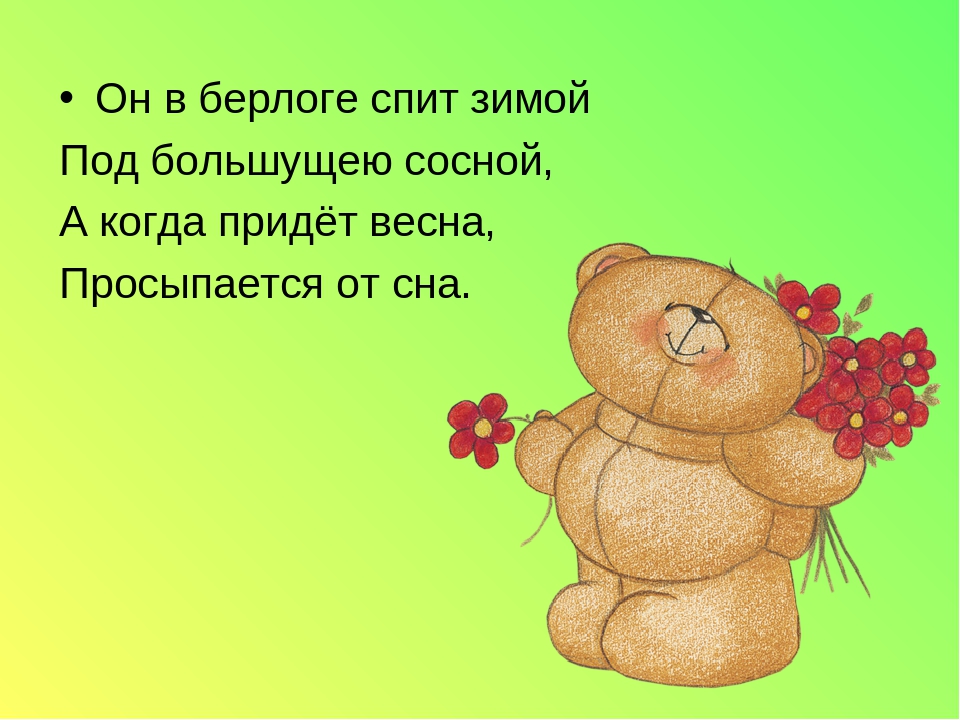 Презентация. "Домашние и дикие животные" средняя группа