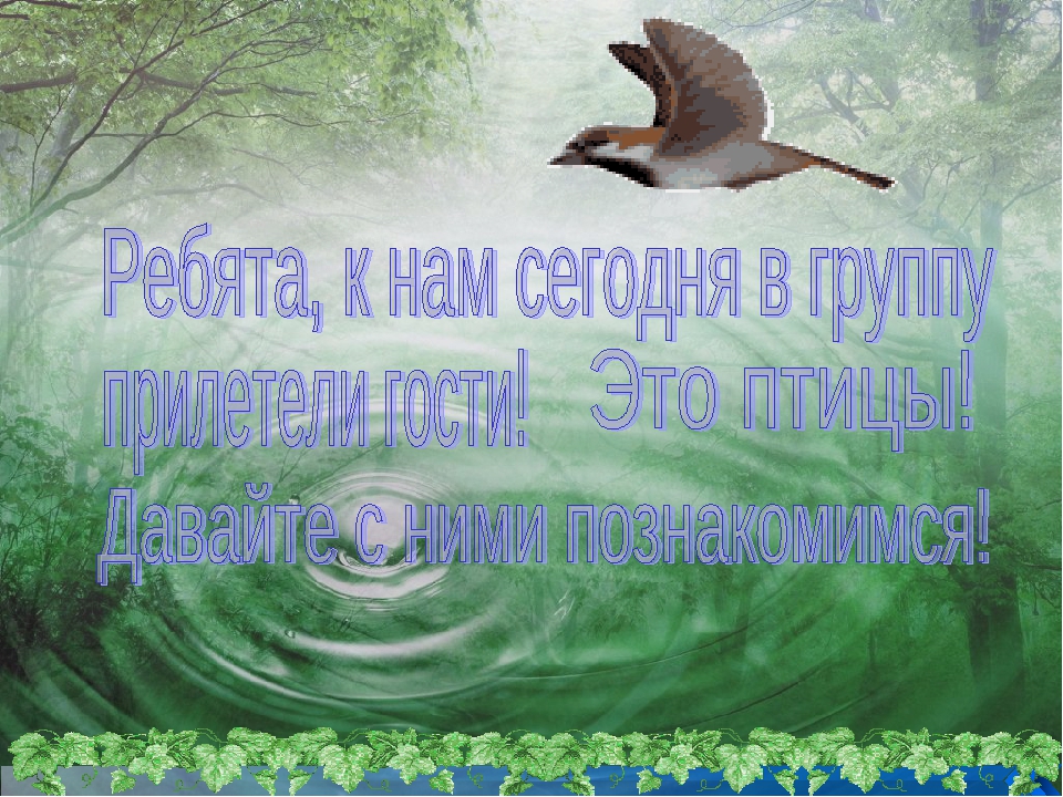 Презентация. "Птицы-наши друзья!" средняя группа
