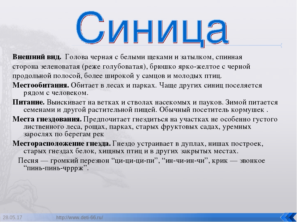 Презентация. "Птицы-наши друзья!" средняя группа