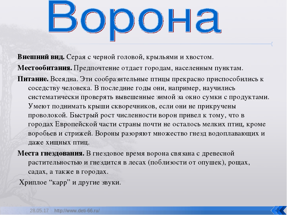 Презентация. "Птицы-наши друзья!" средняя группа
