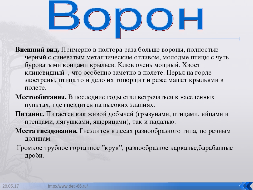 Презентация. "Птицы-наши друзья!" средняя группа