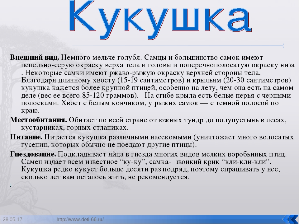 Презентация. "Птицы-наши друзья!" средняя группа