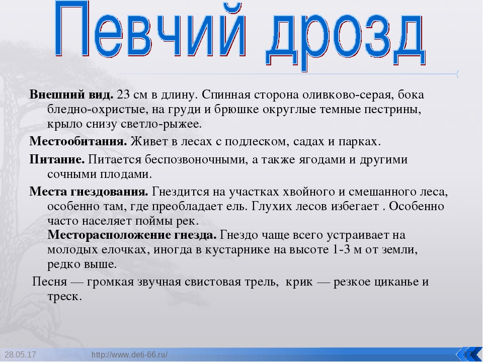 Презентация. "Птицы-наши друзья!" средняя группа