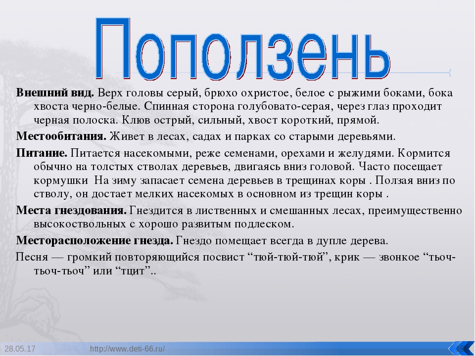 Презентация. "Птицы-наши друзья!" средняя группа
