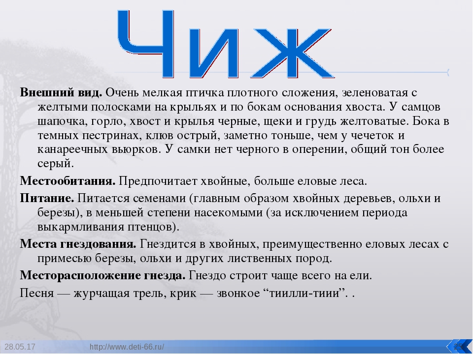 Презентация. "Птицы-наши друзья!" средняя группа