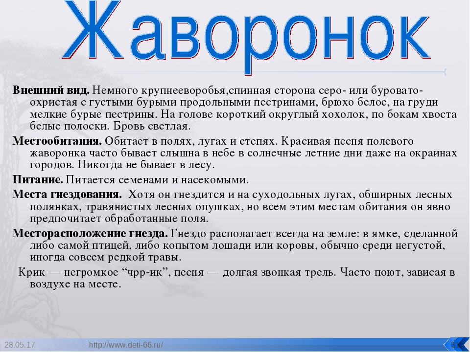 Презентация. "Птицы-наши друзья!" средняя группа