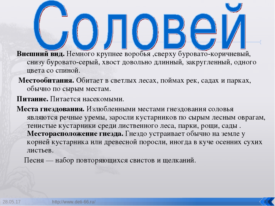 Презентация. "Птицы-наши друзья!" средняя группа