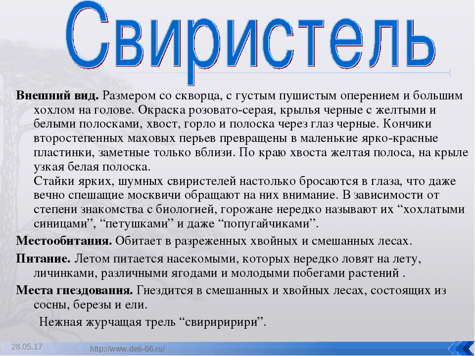 Презентация. "Птицы-наши друзья!" средняя группа