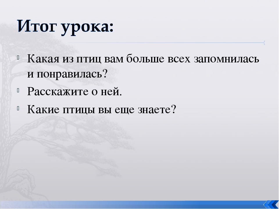 Презентация. "Птицы-наши друзья!" средняя группа