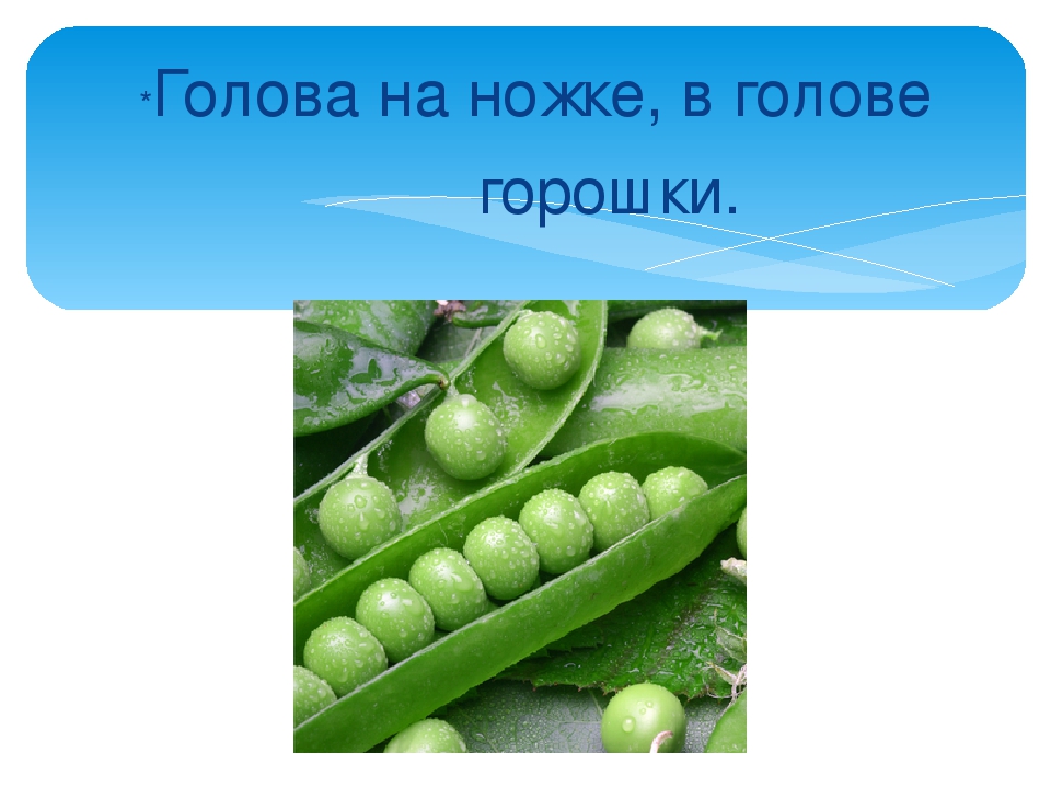 Презентация: Загадки про Овощи.