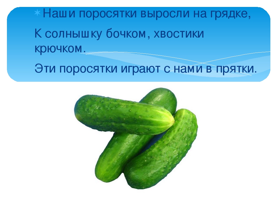 Презентация: Загадки про Овощи.