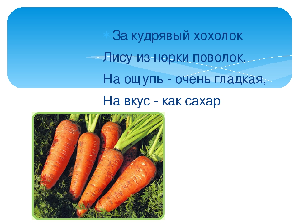 Презентация: Загадки про Овощи.