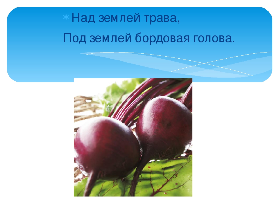 Презентация: Загадки про Овощи.