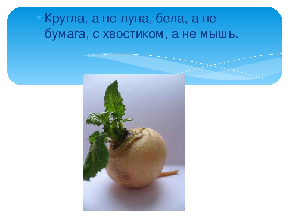 Презентация: Загадки про Овощи.