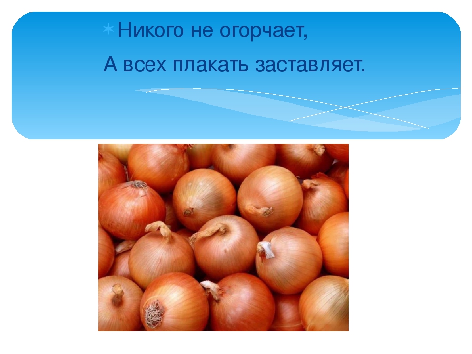 Презентация: Загадки про Овощи.