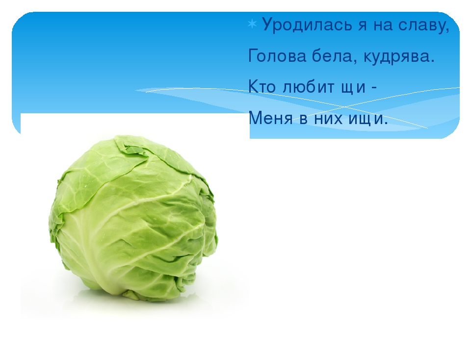 Презентация: Загадки про Овощи.