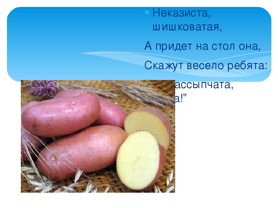 Презентация: Загадки про Овощи.