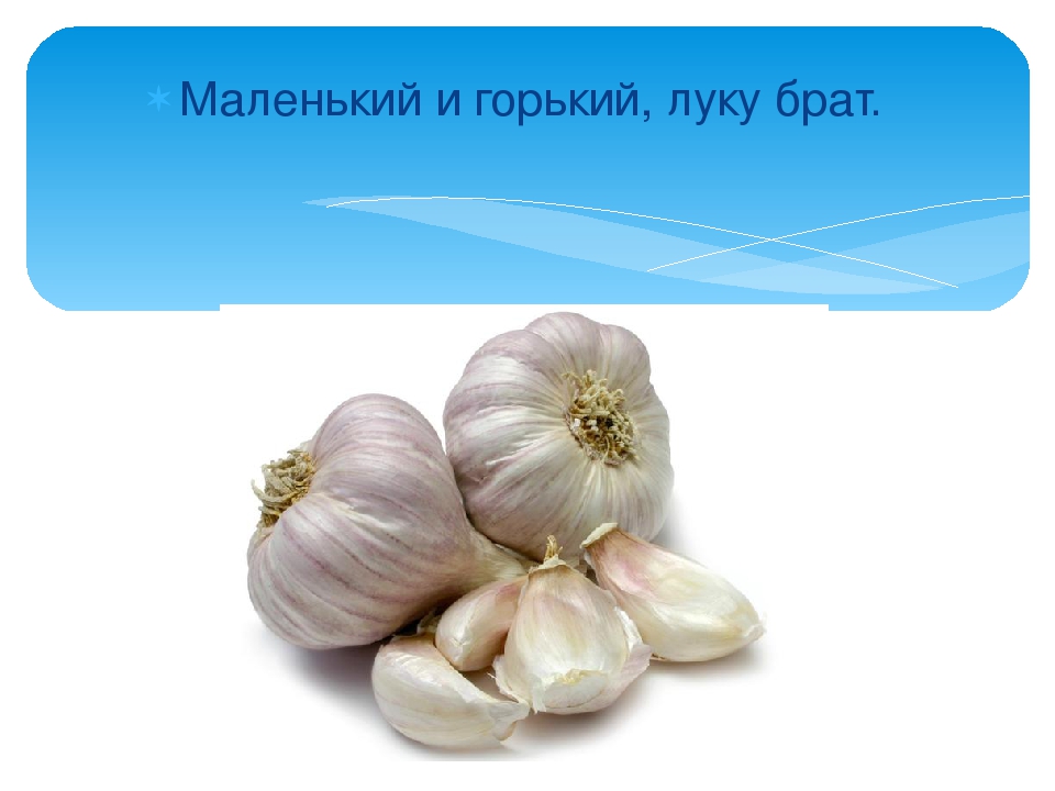 Презентация: Загадки про Овощи.