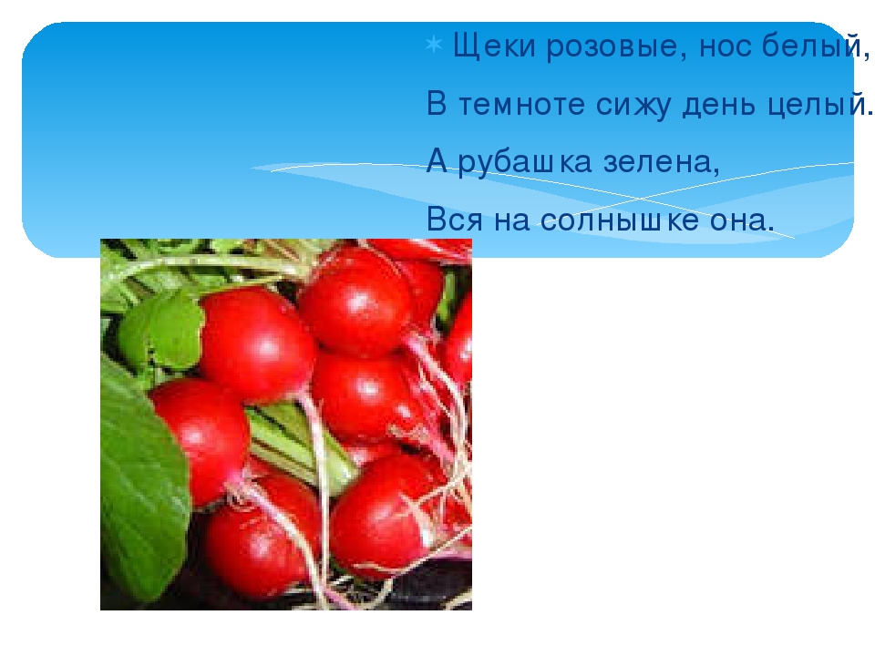Презентация: Загадки про Овощи.
