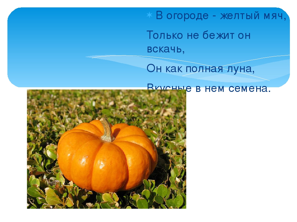 Презентация: Загадки про Овощи.