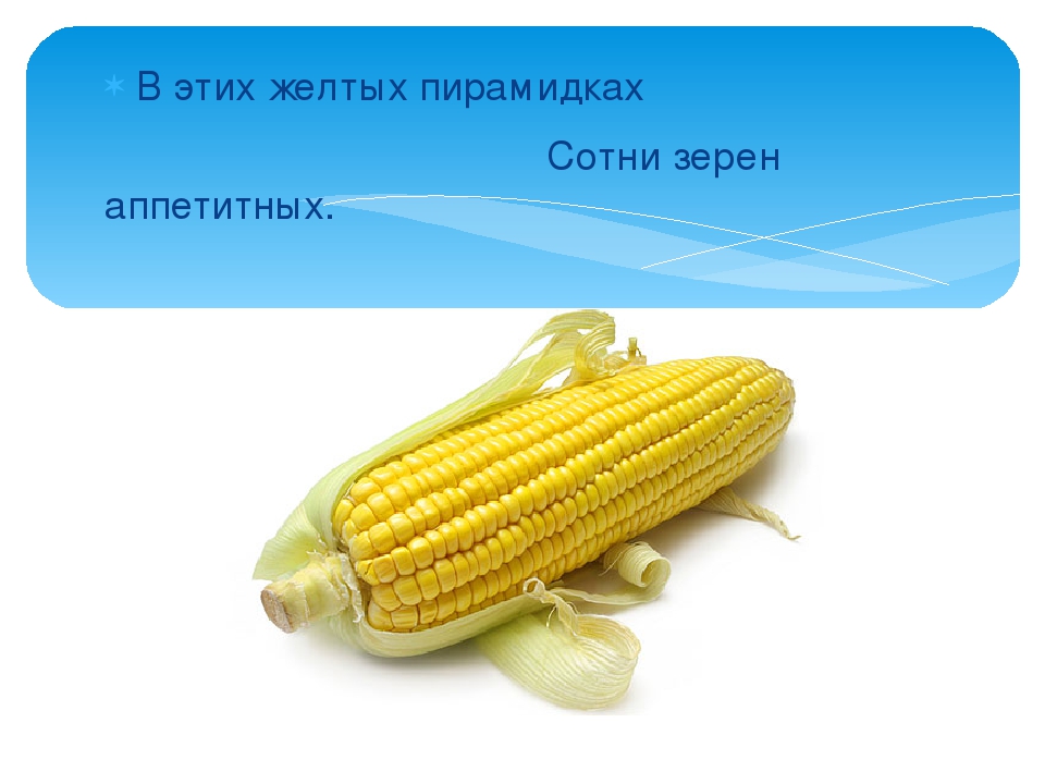 Презентация: Загадки про Овощи.