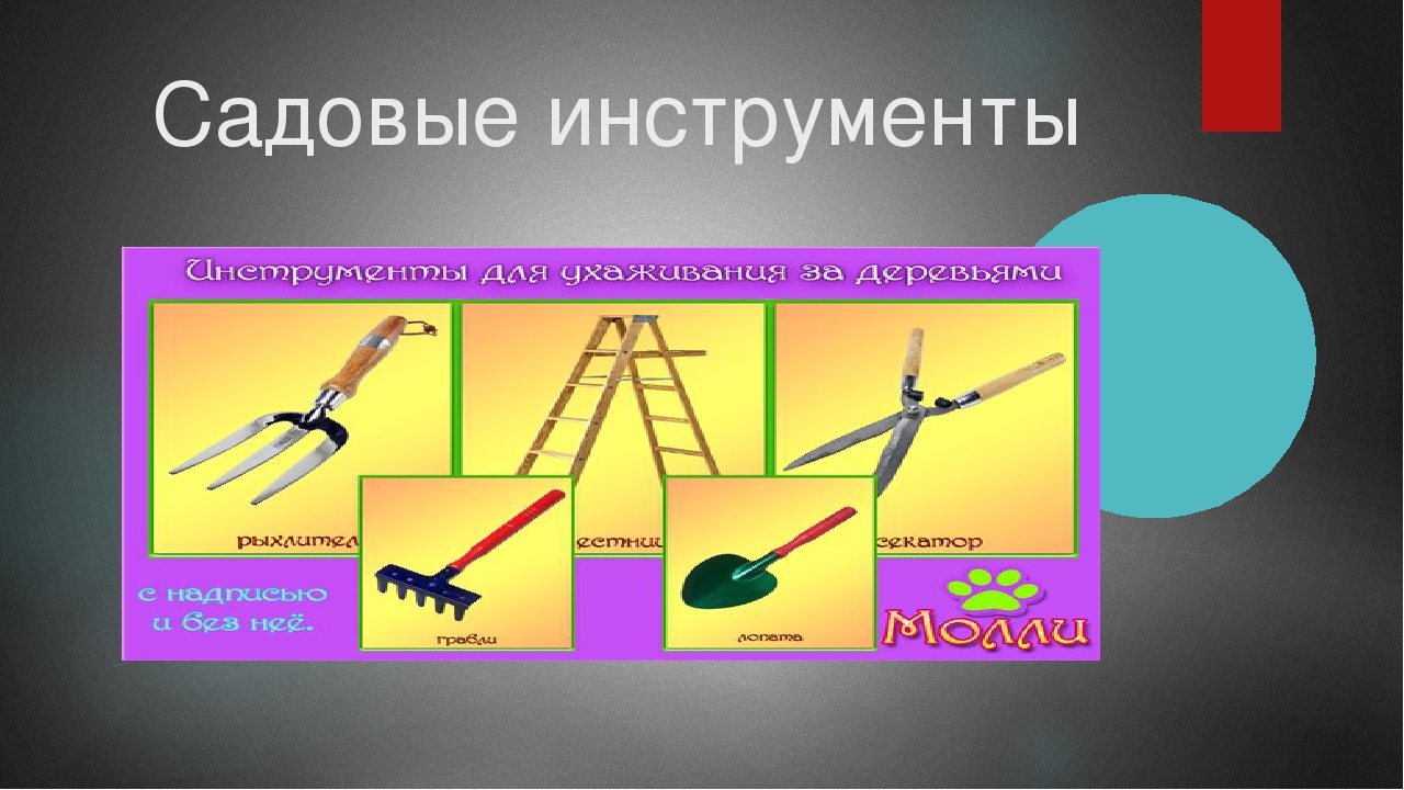 Презентация по окружающему миру на тему "Материалы и инструменты"