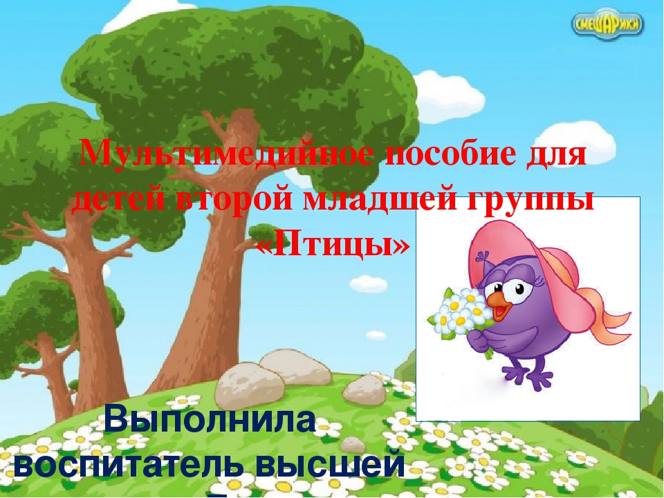 Мультимедийное пособие для детей 2 младшей группы "Птицы"