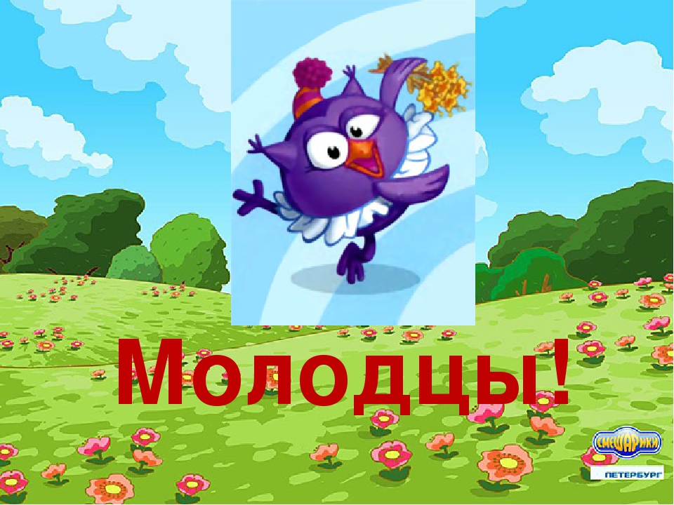 Мультимедийное пособие для детей 2 младшей группы "Птицы"