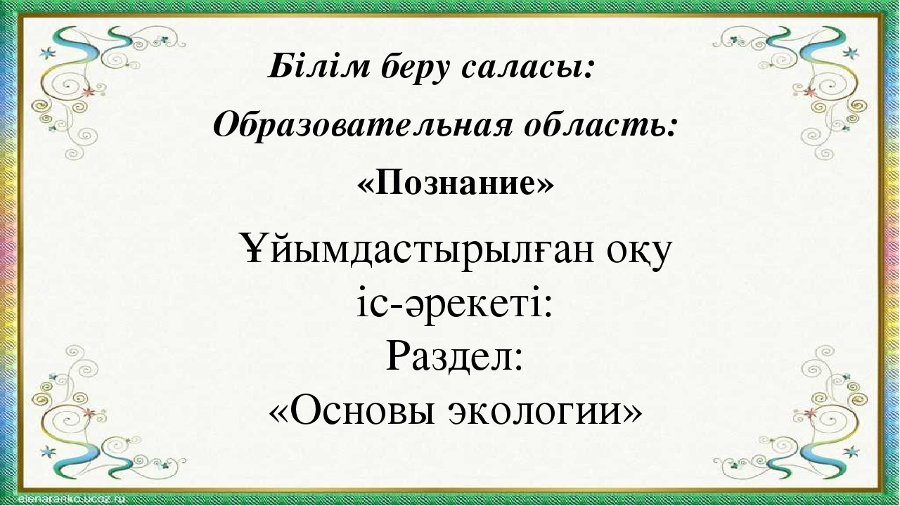 Презентация мини-занятия с использованием технологии ТРИЗ "Удивительный мир комнатных растений"