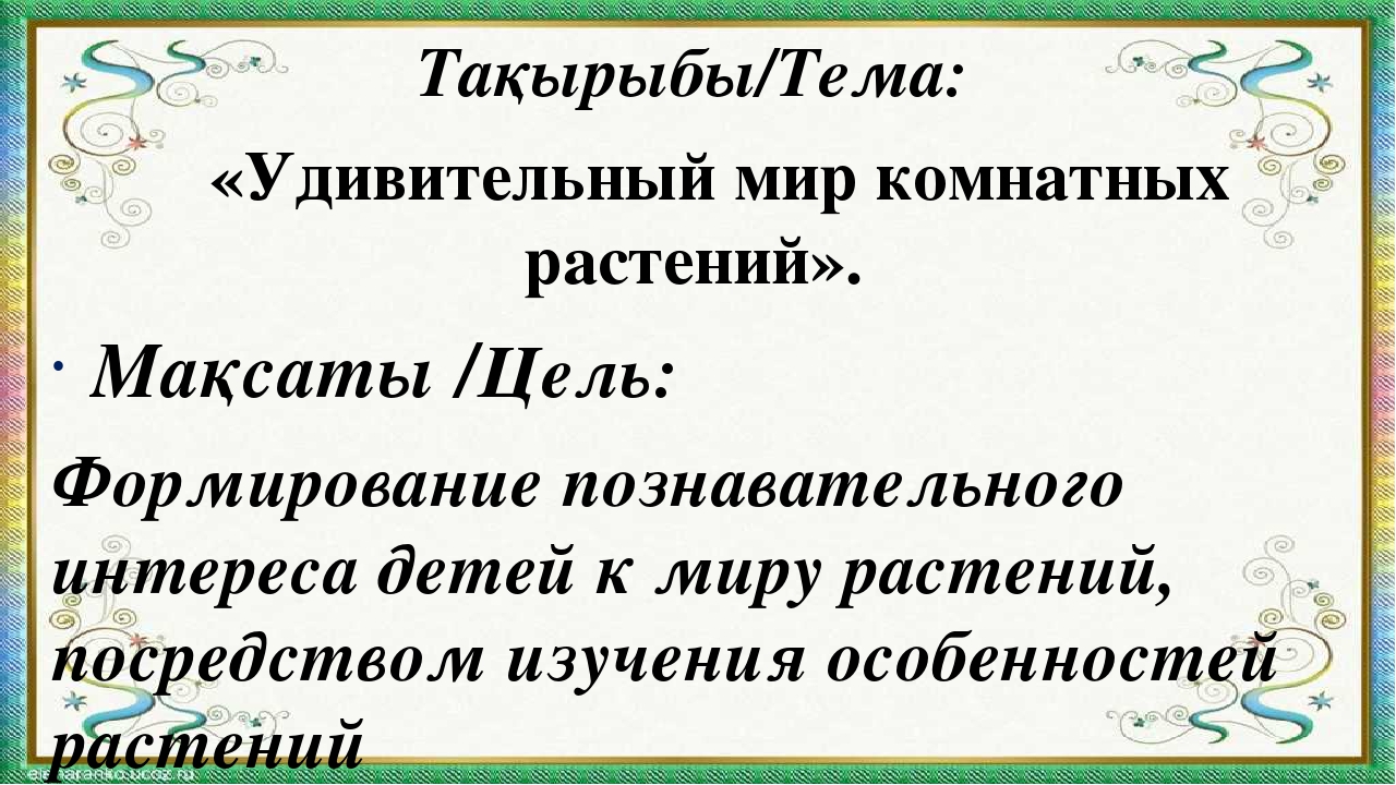 Презентация мини-занятия с использованием технологии ТРИЗ "Удивительный мир комнатных растений"