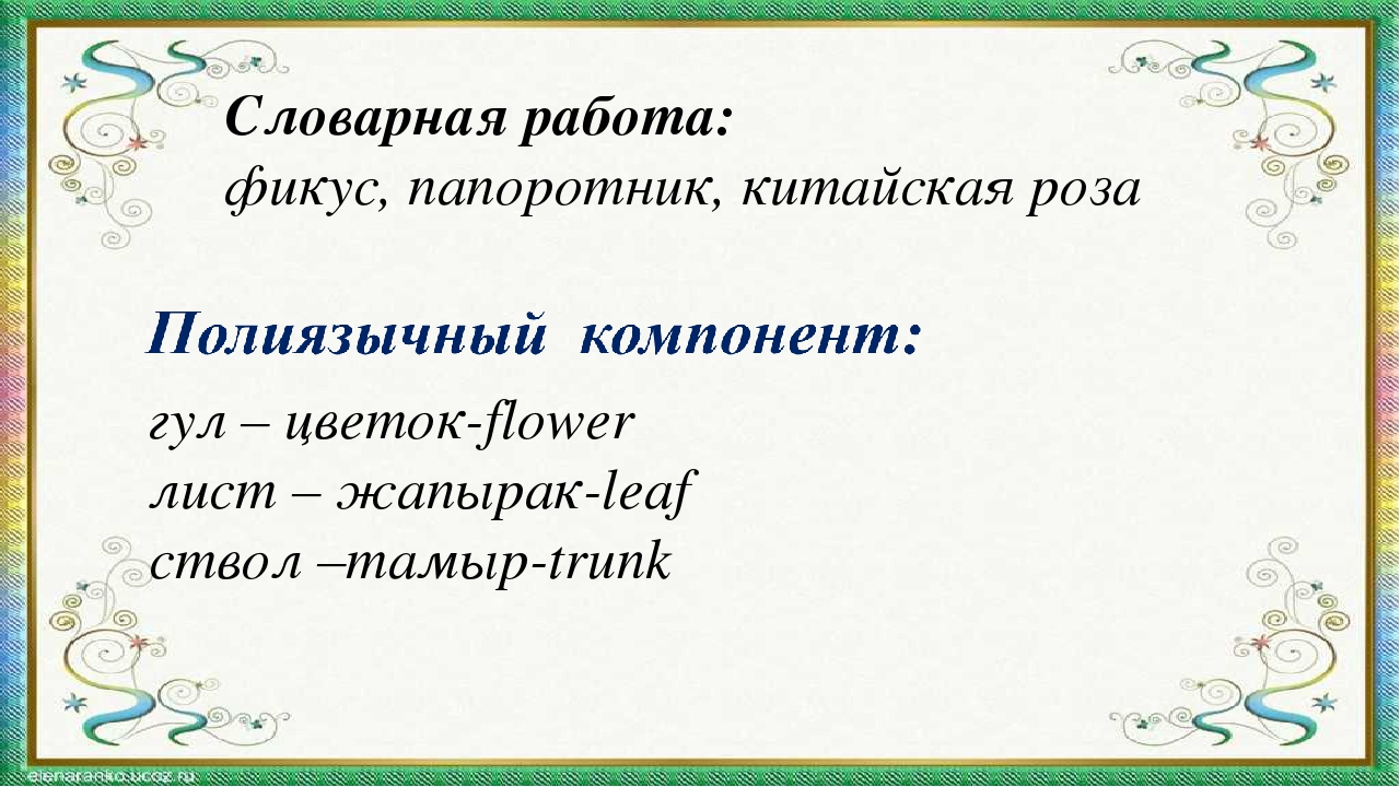 Презентация мини-занятия с использованием технологии ТРИЗ "Удивительный мир комнатных растений"