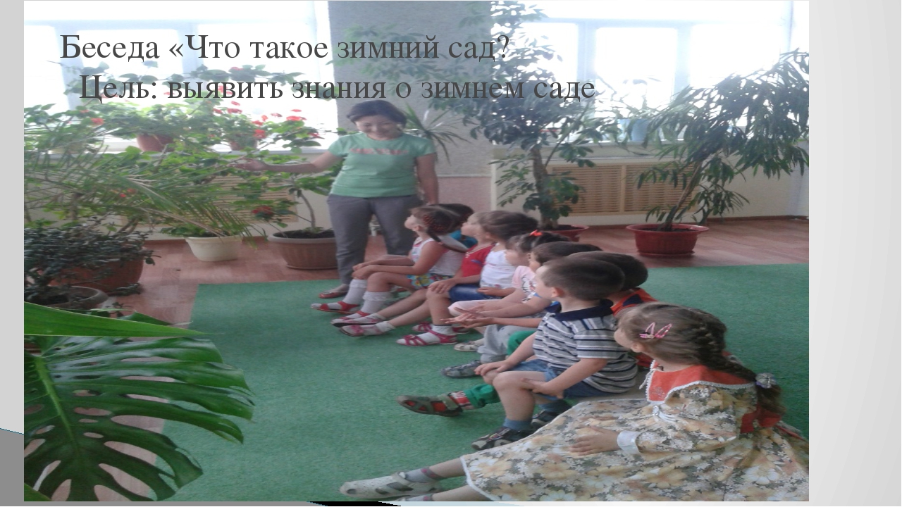 Презентация мини-занятия с использованием технологии ТРИЗ "Удивительный мир комнатных растений"